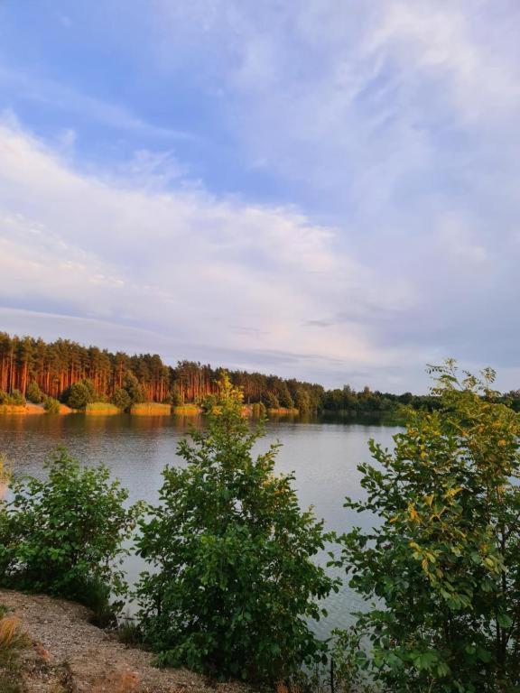 Agroturystyka U Siwego Rokitki  Esterno foto